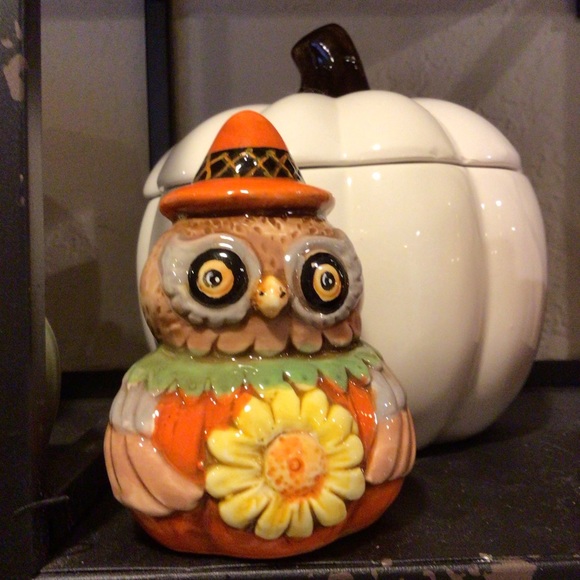 Johanna Parker turkey and owl Salt & Pepper Shakers 🍁 - Picture 6 of 16